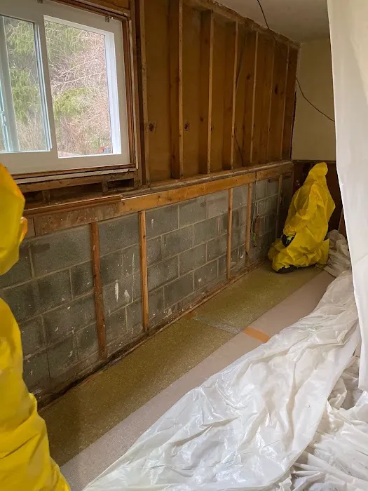 Mold and Air Duct Pros Picture 9