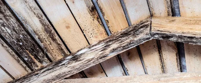 Progressive Mold, LLC Picture 7