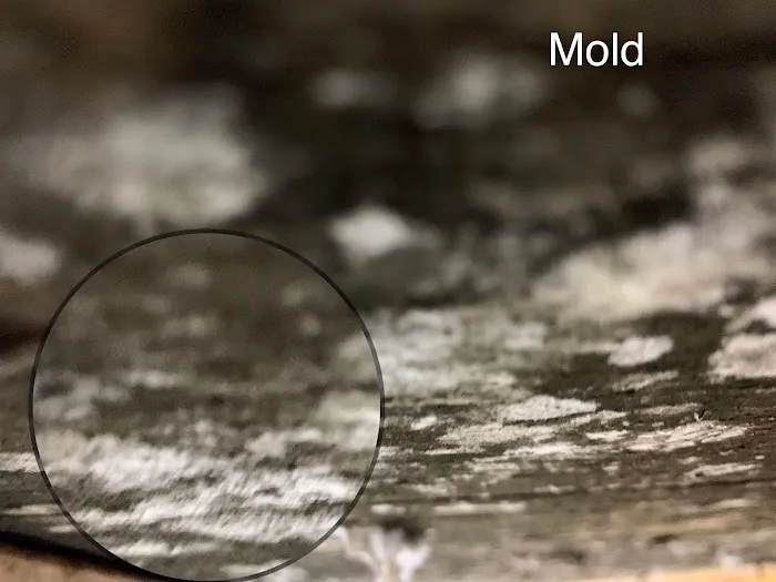 Progressive Mold, LLC Picture 10