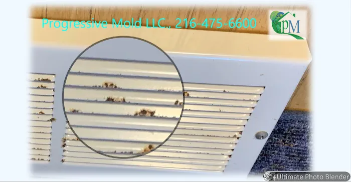 Progressive Mold, LLC Picture 8