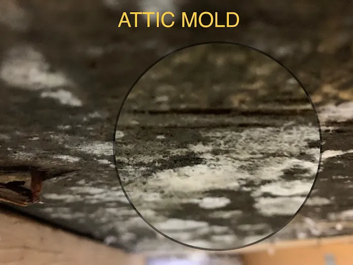 Progressive Mold, LLC Picture 9