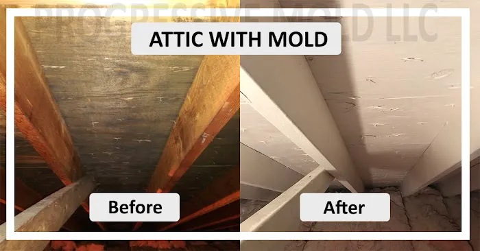 Progressive Mold, LLC Picture 1