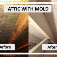 Progressive Mold, LLC ico