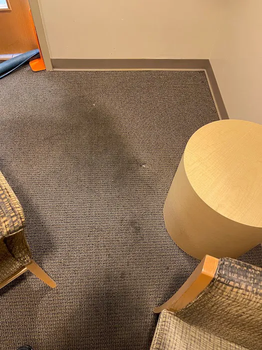 Triton Steam Cleaning Picture 9