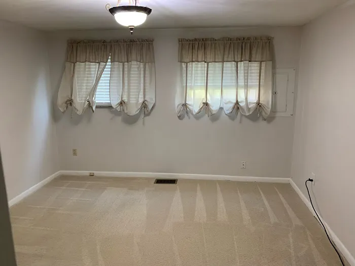 Triton Steam Cleaning Picture 2