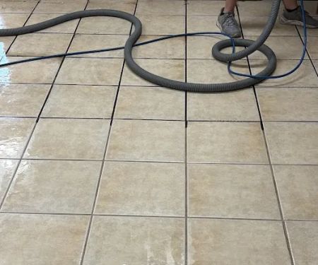 Triton Steam Cleaning