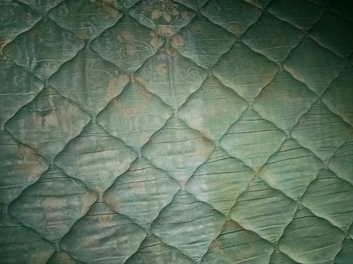 Beaty & Sons Services Picture 4