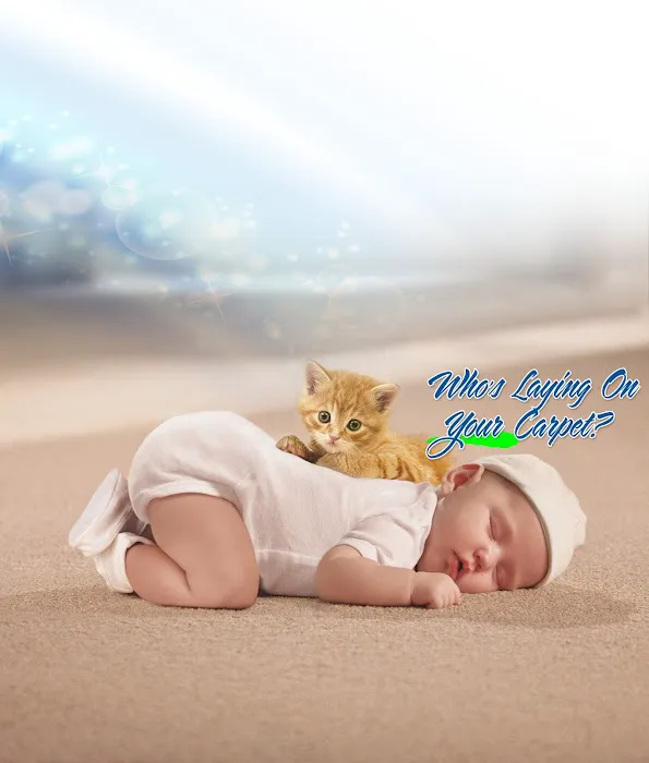 Beaty & Sons Services Picture 7