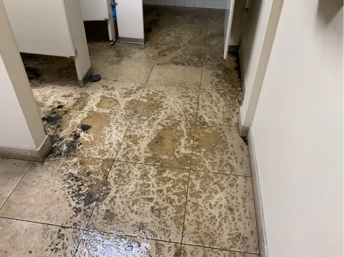 Five Star Complete Picture 6