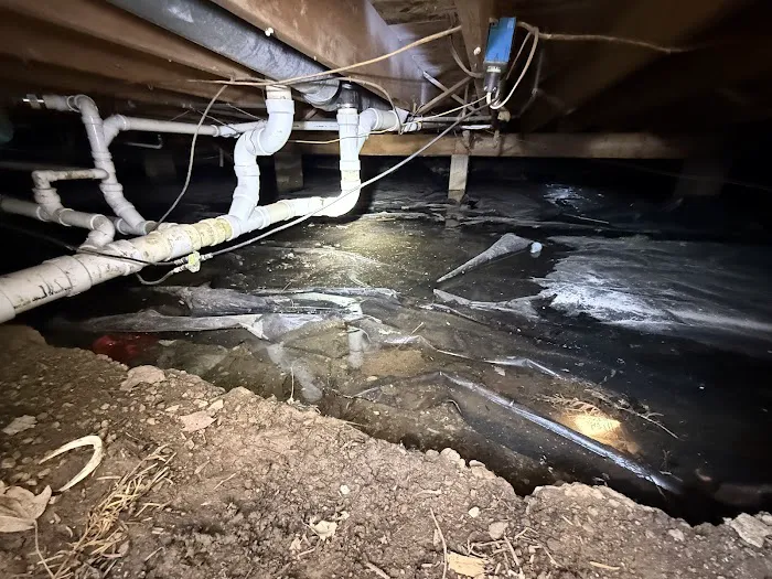 Pure Air Environmental Picture 4