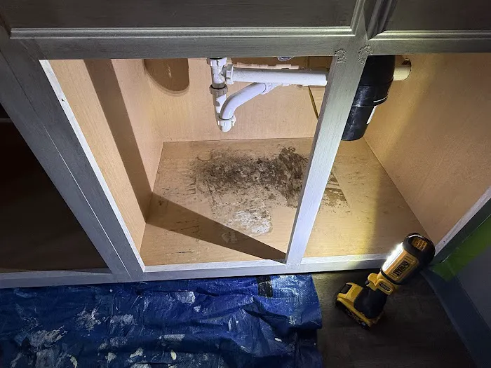 Pure Air Environmental Picture 10