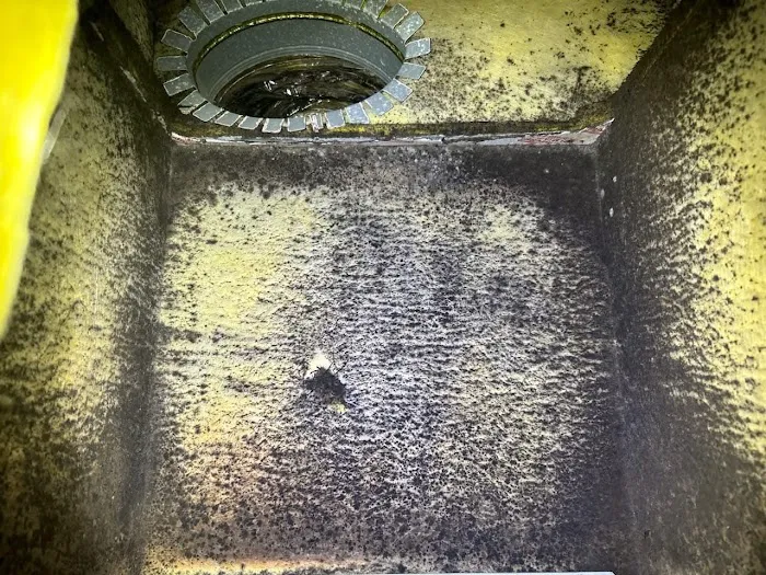 Pure Air Environmental Picture 5