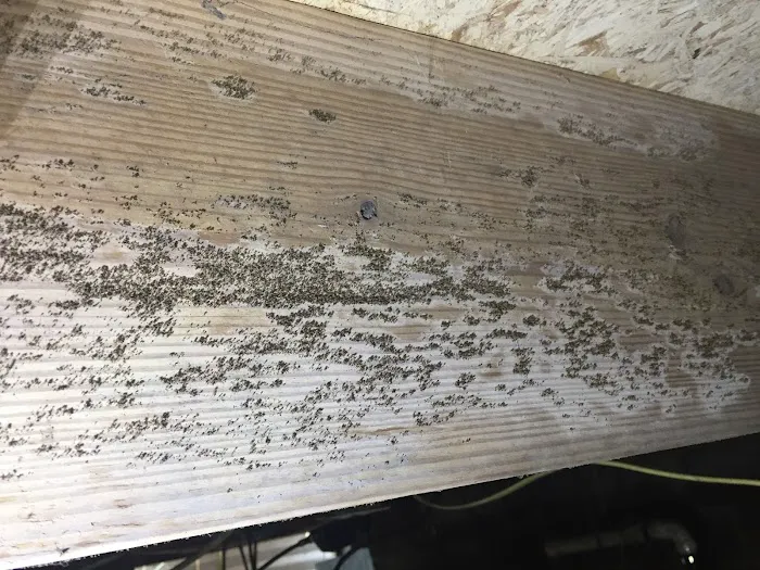 Pure Air Environmental Picture 7