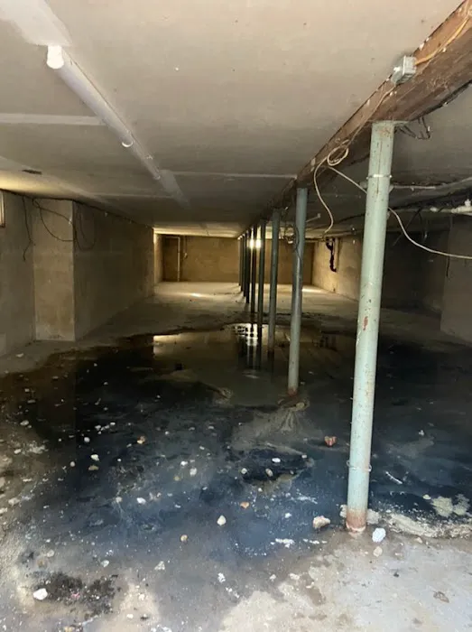 Amerestore - America's Restoration Team Picture 3