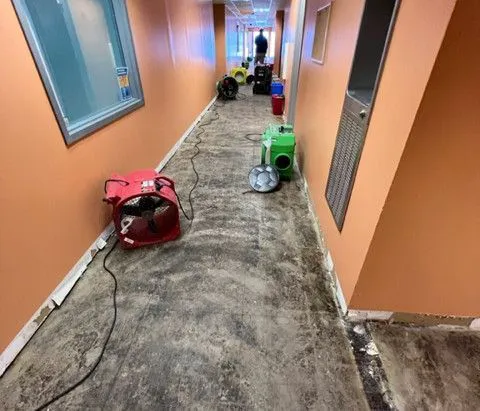 Fishers Restoration Experts Picture 8