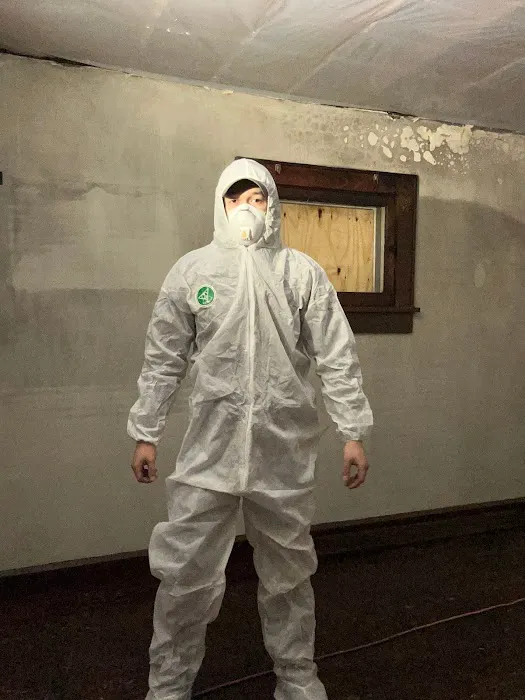 Fishers Restoration Experts Picture 9