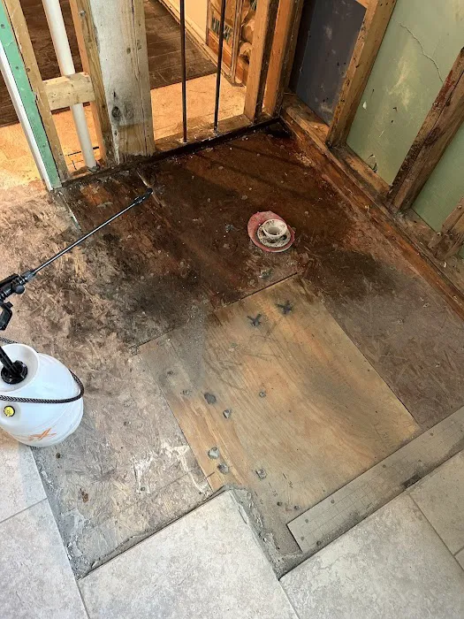 Restore & Renew Picture 10