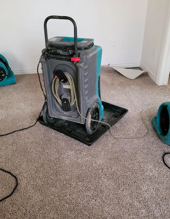 Clean Pro Rescue Picture 8