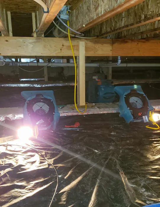 Clean Pro Rescue Picture 9