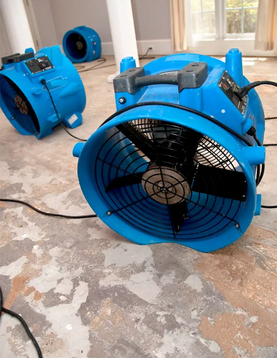 Clean Pro Rescue Picture 3