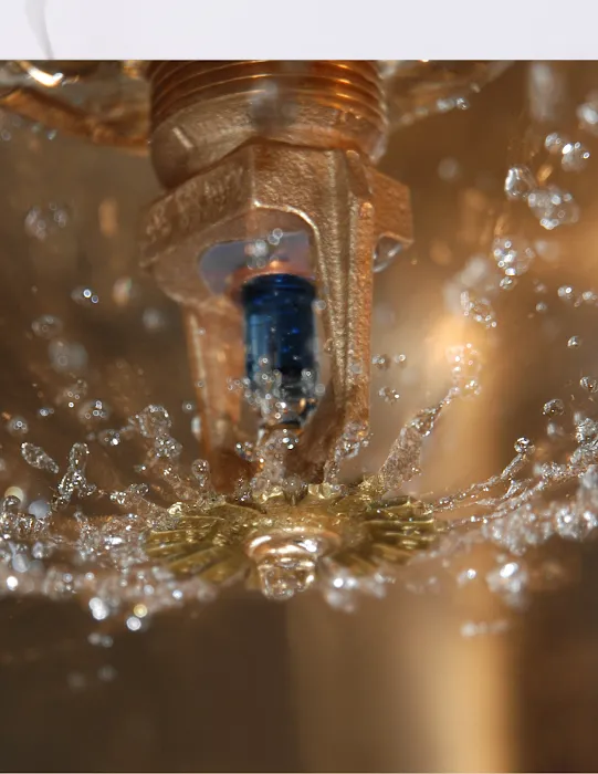 Clean Pro Rescue Picture 4