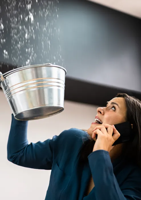 Clean Pro Rescue Picture 2