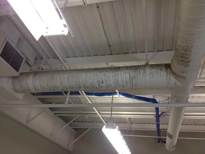 A+ Restoration Services Picture 2