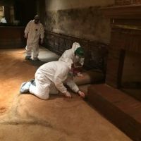 A+ Restoration Services ico