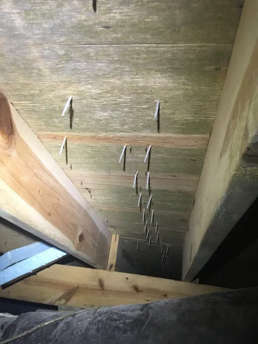 Mold Removal Masters, LLC Picture 9