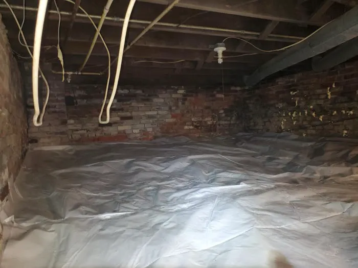 Mold Removal Masters, LLC Picture 3