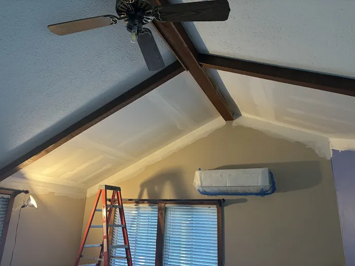 Mold Removal Masters, LLC Picture 1