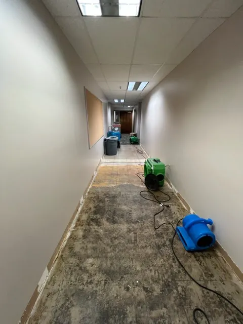 Absolute Restoration LLC Picture 5