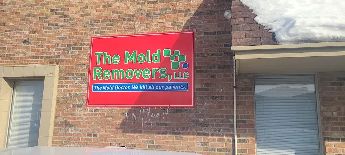 The Mold Removers Picture 8