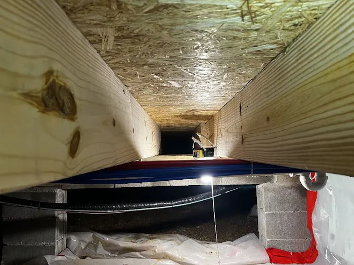 The Mold Removers Picture 3