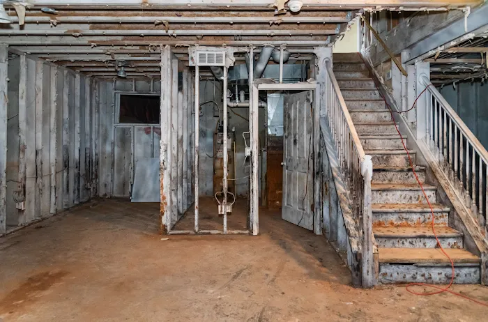 The Mold Removers Picture 10