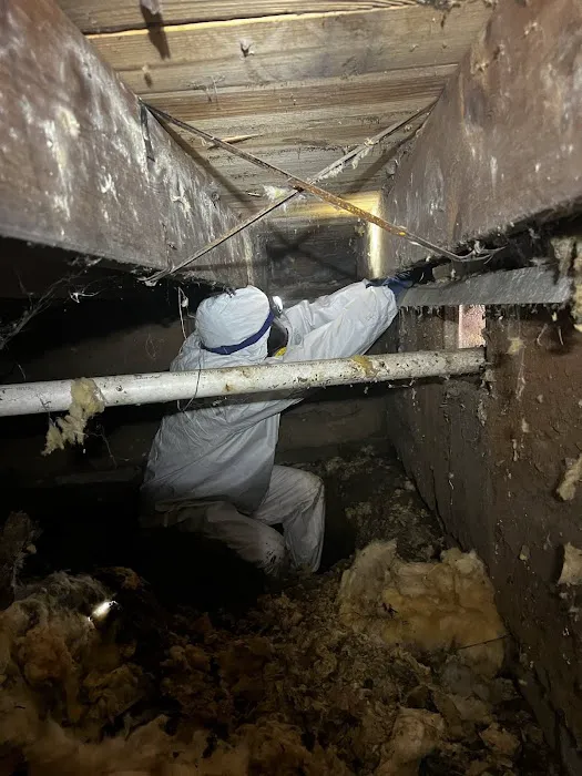 The Mold Removers Picture 2