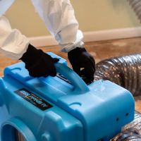 The Mold Removers ico