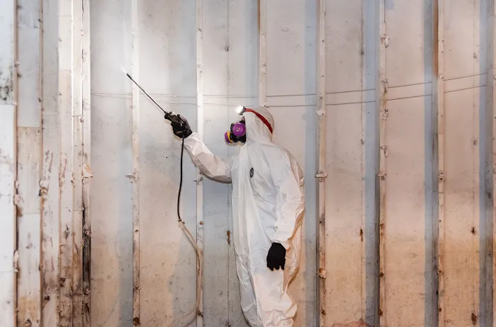 The Mold Removers Picture 5