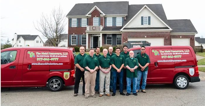 The Mold Removers Picture 6