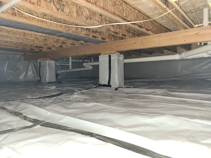 The Mold Removers Picture 7