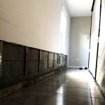 The Mold Pros of Indiana