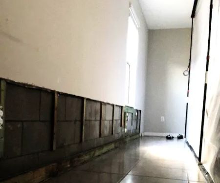 The Mold Pros of Indiana