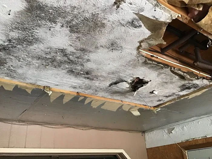 SERVPRO of South & East Stark County Picture 10