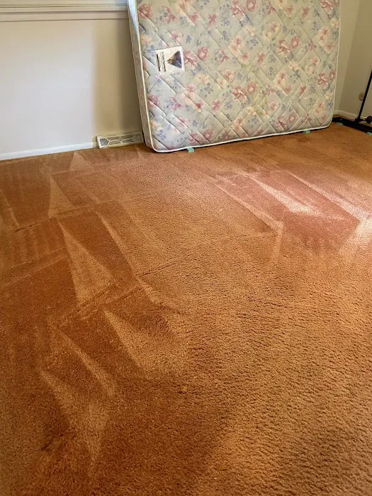 Stanley Steemer Picture 9