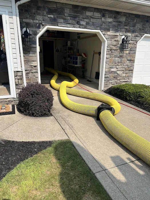 Stanley Steemer Picture 10