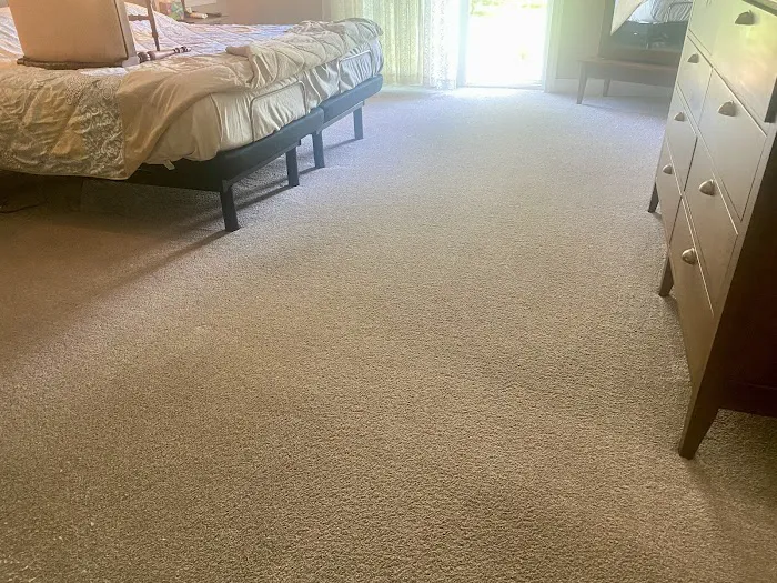 Stanley Steemer Picture 3