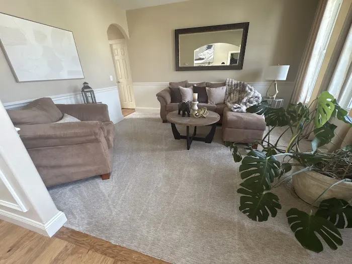 Stanley Steemer Picture 2