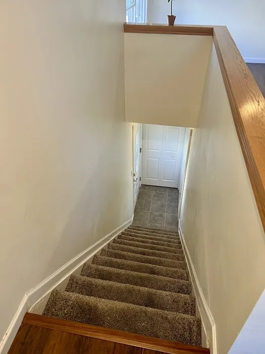 Stanley Steemer Picture 6