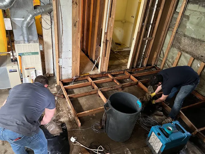 All Dry Services Of Cleveland Picture 10