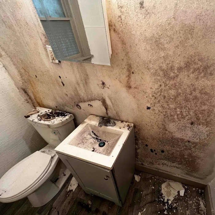 All Dry Services Of Cleveland Picture 5